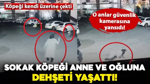 Siteye giren sokak köpeği, anne ve çocuğuna dehşeti yaşattı! O anlar kameraya yansıdı