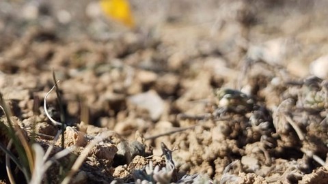 Çorum'dan Türkiye'ye resmen felaket gibi bir ürkütücü haber. Türkiye'ye vermemesi gereken bir haberi 1 ay erken verdi