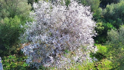 Antalya'da rengarenk bir manzaranın altında aslında Türkiye için kara korkunç bir haber var. Sadece 1 il değil 2, 3, 10 ilden aynı haber