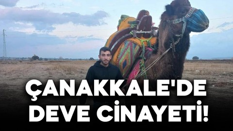 Çanakkale'de deve cinayeti! Deve güreşi için buluşmuşlardı