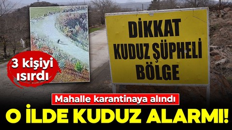 O ilde kuduz alarmı! 3 kişiyi ısırdı: Mahalle karantinaya alındı