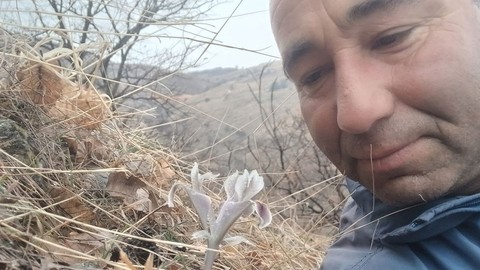 Malatya'da bir yandan -7 derecede lapa lapa kar yağarken, diğer tarafta 2 ağaçtan gelen aynı haber endişelendirdi