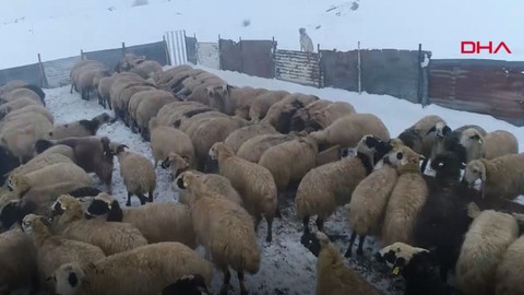 Elazığ'da günün ilk ışıklarıyla dondurucu soğukta mesaiye başlayan göçerler açıkladı. "100 TL versek de gelmiyorlar"