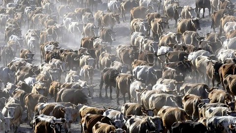 Konya'da 19 ilçede su kısıtı uygulaması