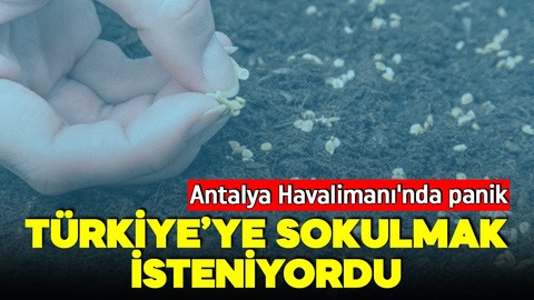 Antalya Havalimanı'nda panik! Türkiye'ye sokulmak isteniyordu! Hepsi geri gönderildi