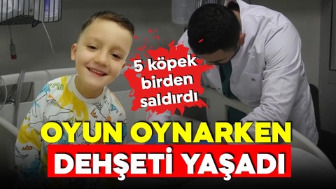 4,5 yaşındaki çocuk oyun oynarken dehşeti yaşadı! 5 köpeğin arasında kaldı