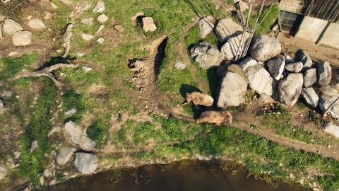 Bursa'da 149 türün bir arada yaşadığı yerde o canlı, kış uykusunu unutmuştu. Devasa canlının öğle yemeğiyle imtihanı kayda alındı