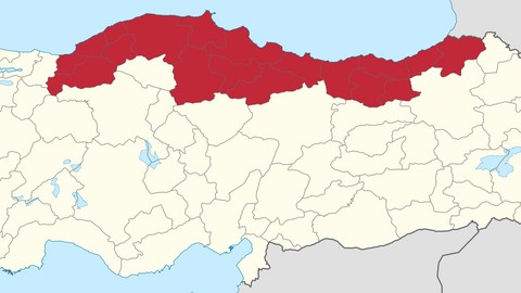 Ordu, Giresun, Sinop, Kastamonu, Samsun, Trabzon, Rize ve Artvin'e 20-30 cm uyarısı. Fena geliyor