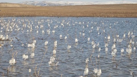 Tunceli'de Keban Barajı'na gidenler, -13 derece soğukta gördükleri manzara ile şaştı kaldı. Dondurucu soğuklar yüzünden tabaka tabaka oluştu