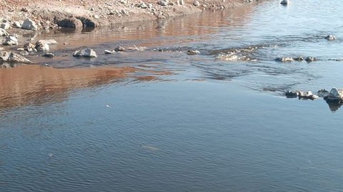 Gaziantep'te çevre alarmı! Yetkililer harekete geçti