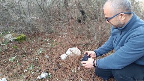 Manisa ve İzmir arasında farklı flora ve faunasıyla görenleri mest eden Spil Dağı Milli Parkı'nda kış ayında 2. kez oldu. Türkiye için endişe verici