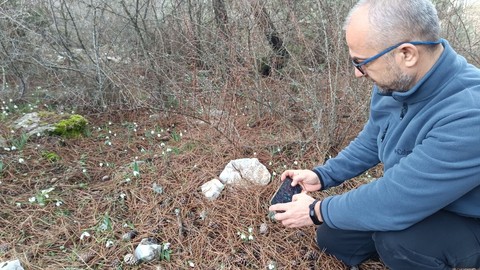 Manisa ve İzmir arasında farklı flora ve faunasıyla görenleri mest eden Spil Dağı Milli Parkı'nda kış ayında 2. kez oldu. Türkiye için endişe verici - Resim: 1