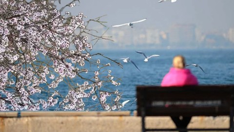 Kış ortasında bahar havası! Meteoroloji açıkladı: İşte il il hava tahmin raporu