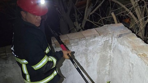 Hatay'da evine giren korkunç hayvan paniğe neden oldu. Acilen itfaiyeye haber verildi. Eve gelen ekipler, özel bir aparatla hayvanı tutup evden çıkarabildi