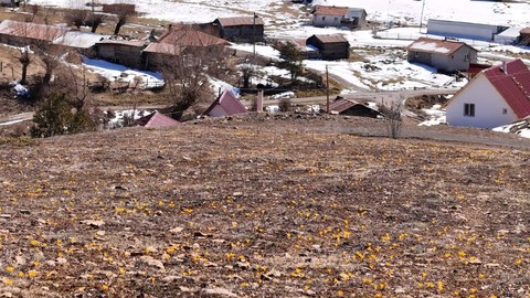 Ankara'da bir yanda beyazlar içinde karlar varken, diğer yandan sarı sarı çıkan manzara görenleri büyüledi. Müthiş manzara