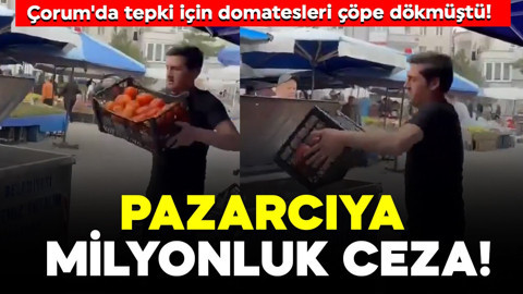 Çorum'da tepki için domatesleri çöpe dökmüştü! Pazarcıya milyonluk ceza