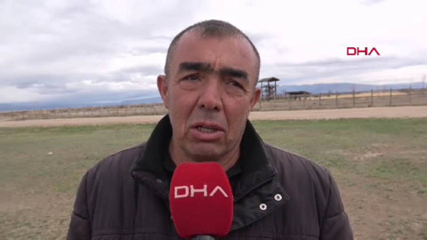 Kayseri'de 301 tane hayvanın arasından bir anda belirdi. Onu gören vatandaşlar bölgeye acilen ekipleri çağırdı. 301 tanesinin arasından çıktı