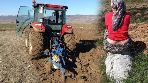 Afyonkarahisar'da toprak yumuşamaya başlayınca içinden o hayvan çıkmaya başladı. 1 tane 2 tane değil 100'er 100'er çıkıyor