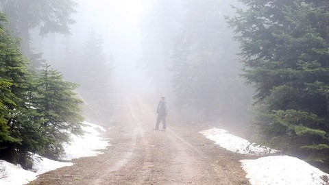 Turizm merkezi Ilgaz Dağı'nda sis etkili oldu!