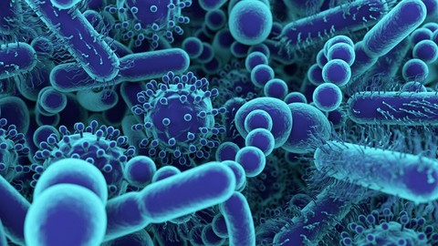 Bilim insanları uyardı! Antibiyotik dirençli "süper bakteri" tespit edildi! Ölümcül olabilir
