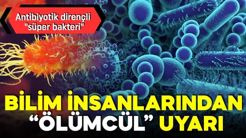 Bilim insanları uyardı! Antibiyotik dirençli "süper bakteri" tespit edildi! Ölümcül olabilir