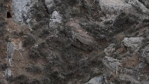 Sivas'ta doğada kente 5 kilometre mesafede 2 tanesi birden ortaya çıktı. Dokunan 700.000'i hazırlamak zorunda