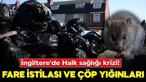 İngiltere'de Halk sağlığı krizi! Fare istilası ve çöp yığınları