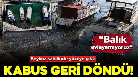 İstanbul'da kabus geri döndü! Beykoz sahilinde yüzeye çıktı: 'Balık avlayamıyoruz'