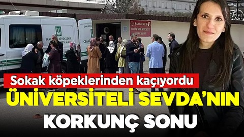 Başıboş sokak köpeklerinden kaçıyordu! Otomobilin çarptığı üniversiteli Sevda'nın acı sonu