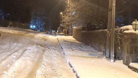 Kars'ta 1,2,3 tanesi kış uykusundan uyanınca sürpriz bir manzara ile karşılaştı. 3 tanesi panik içinde tek bir şey yaptı