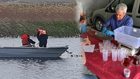 Sakarya, Bolu, Ankara, Eskişehir, Bursa, Kütahya'da 5 bin 376 tanesi yakalandı! 10 hayvandan 4'ü böyle çıktı! Türkiye'deki korkunç istila Eskişehir'de başladı