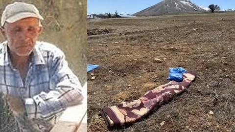 Kayseri'de sokak köpeği dehşeti! Yaşlı adamı parçaladılar
