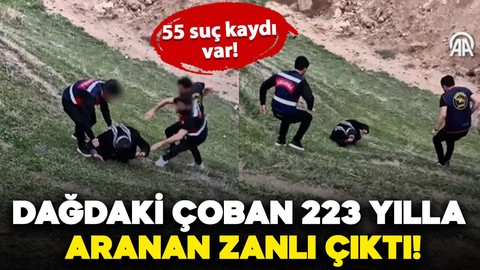 Batman'da çobanlık yapan kişi 55 suç kaydıyla aranan zanlı çıktı!