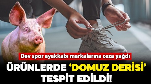 Dev ayakkabı markalarına ceza yağdı! Ürünlerde "domuz derisi" tespit edildi