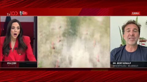 tv100 stüdyosunda 6.2'lik deprem anı! Haber spikeri Oya Çebi büyük bir korku yaşadı