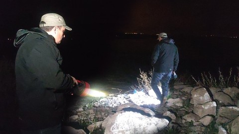 Van'dan başka yerde yaşamayan 1000'lerce hayvan gece büyük bir harekete başladı... 1000'lercesinin akını için resmi ekipler korumaya gitti
