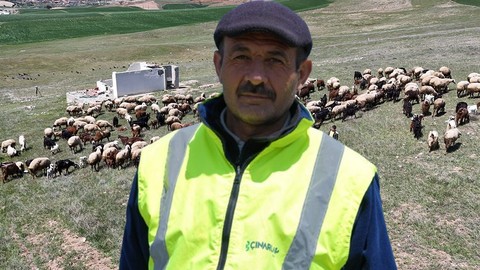 Kırıkkale'de 1000'lerce koyuna bakan çoban, kendisi hakkında bir detayı verdi! 1000'lerce koyuna bakanın çobanın verdiği detayı duyanlar hayrete düştü