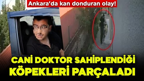 Kan donduran olay! Sahiplendiği köpekleri evde parçalayıp öldürdü! Cani doktor tutuklandı