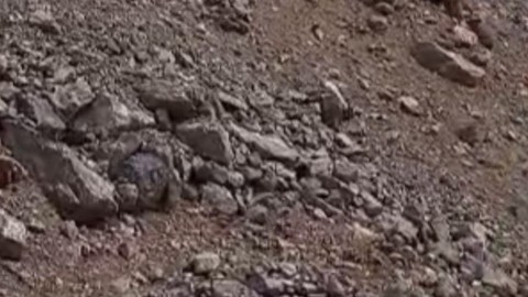 Hakkari'de dağda önce 1 tanesi çıktı hemen arkasından 2 tanesi daha belirdi. Türkiye'de yakında 1000'lercesi her yerden çıkacak