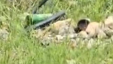 Şırnak’ta köyde odunluktan odun almaya giden vatandaşın karşısına bir anda çıktı. 2 metrelik yaratığı görünce neye uğradığını şaşırdı