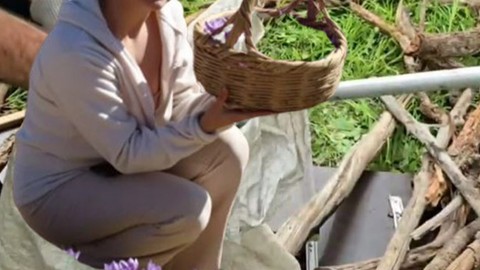 Şırnak'ta odun toplamaya giden kadının karşısında doğada 2 metreyle bir anda çıktı. Hayvanı görünce elleri resmen korkudan titredi