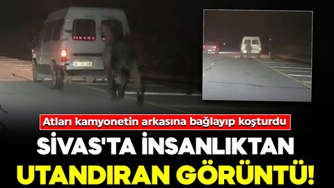 Sivas'ta insanlıktan utandıran görüntü! Atları kamyonetin arkasına bağlayıp koşturdu