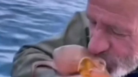 Aydın’da balıkçı balık tutmak için denize ağ bırakmıştı. Ağına takılan 1 tane hayvanı görünce gözlerine inanamadı