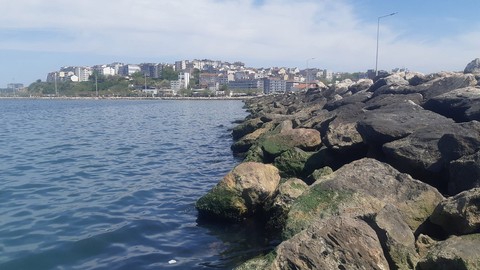 Bandırma'da tanınmaz halde bir ceset sahile vurdu