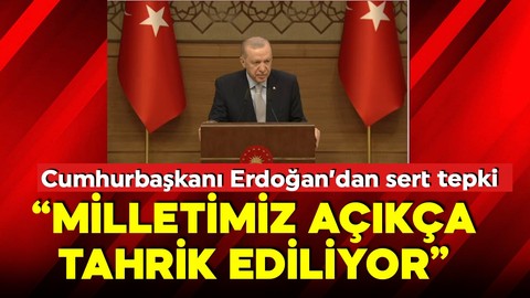 Cumhurbaşkanı Erdoğan'dan 'sokak röportajı' tepkisi: Milletimiz açıkça tahrik ediliyor