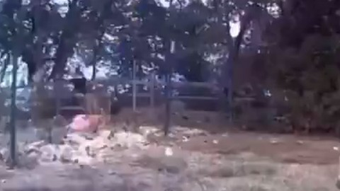Doğada 4 yıldan bu yana mahsulleri çalınan çiftçi, 4 yıl sonra doğada kameraya bakınca karşısında gördüğü manzaraya inanamadı