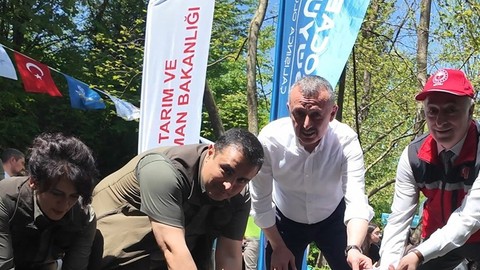 Kocaeli'de 8.000 tanesi doğaya bırakıldı... Yakın bir zamanda 8.000 tanesi teker teker her yere dağılacak