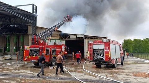 Sakarya'da fındık kırım fabrikasında yangın: Ekipler müdahale ediyor