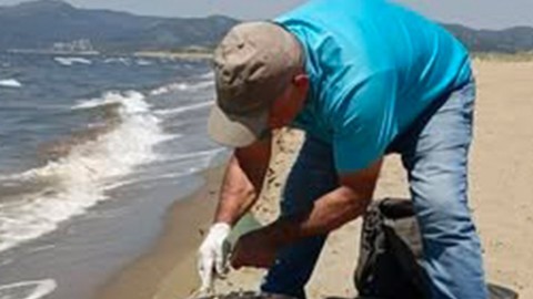 Aydın’da sahil kıyısına vuran hayvanı gören vatandaşlar hemen harekete geçti! 1 kez nefes almak için çırpınıyordu