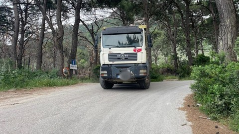 Bodrum'da doğaya bunu yapanlar yandı! 260.000'i artık hazır etmek zorundalar